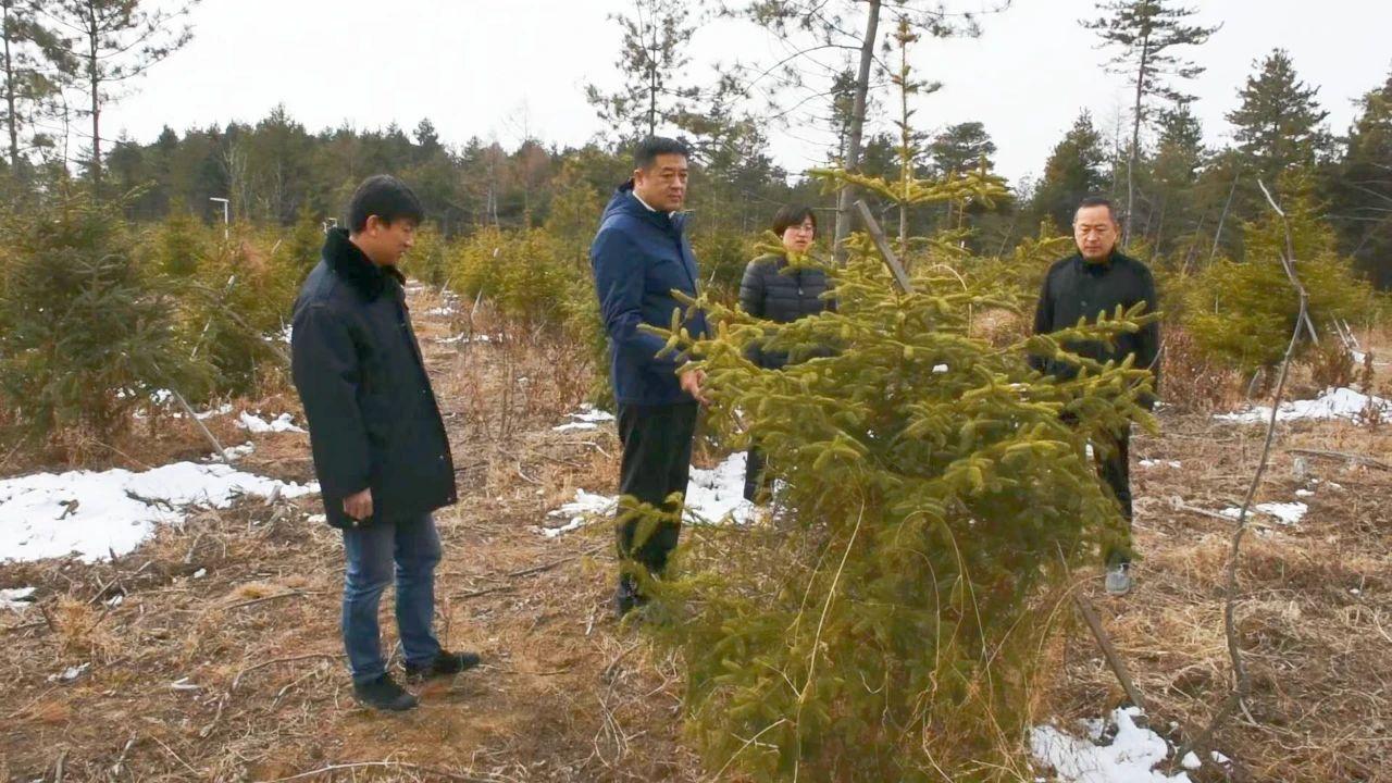 新门内部免费资料大全,警惕虚假宣传,构建解答解释落实
