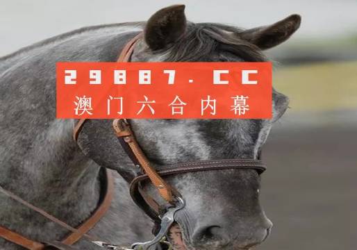 澳门一肖一码一一子,警惕虚假宣传、全面解答、专家解答解释落实